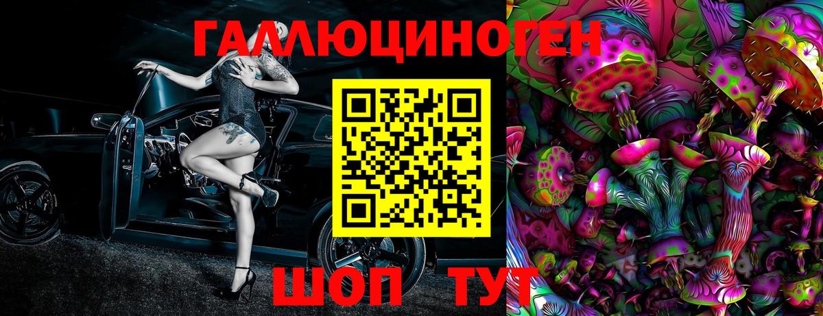 Галлюциногенные грибы Cubensis  Вход с VPN  Вышний Волочёк 